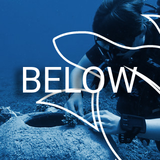 Below - Marine Conservation