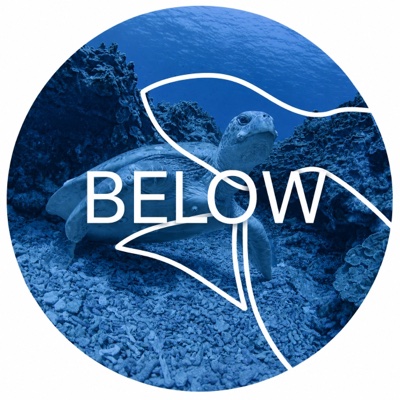 Below - Marine Conservation