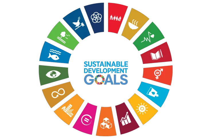 UN Sustainable Development Goals